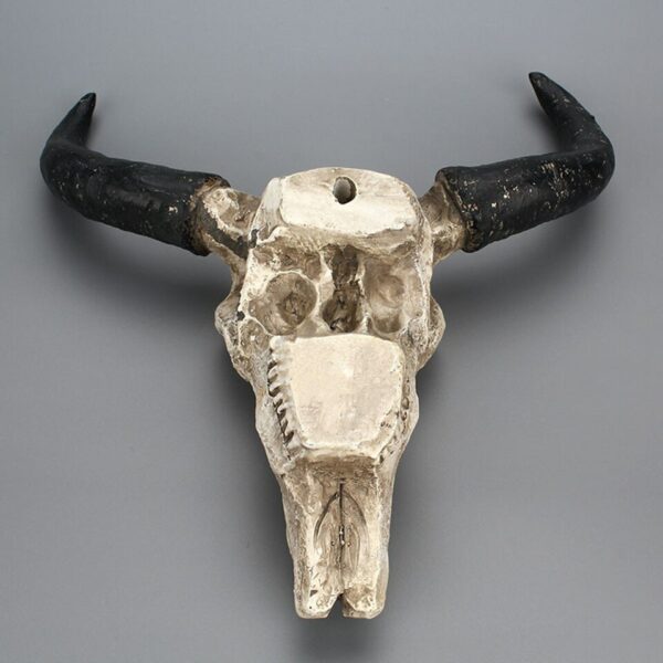 Cattle skull decoration - Image 4