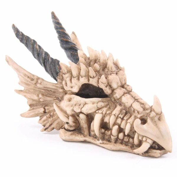 Dragon Skull Deco - Image 3