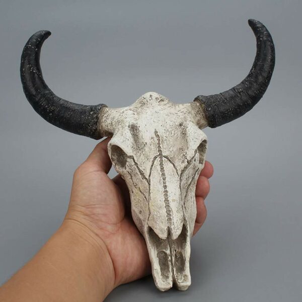 Cattle skull decoration - Image 2