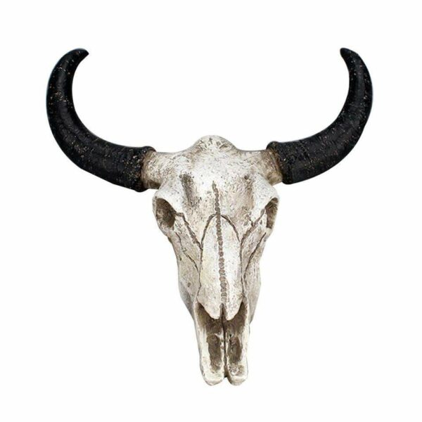 Cattle skull decoration