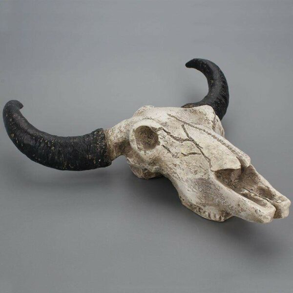 Cattle skull decoration - Image 3